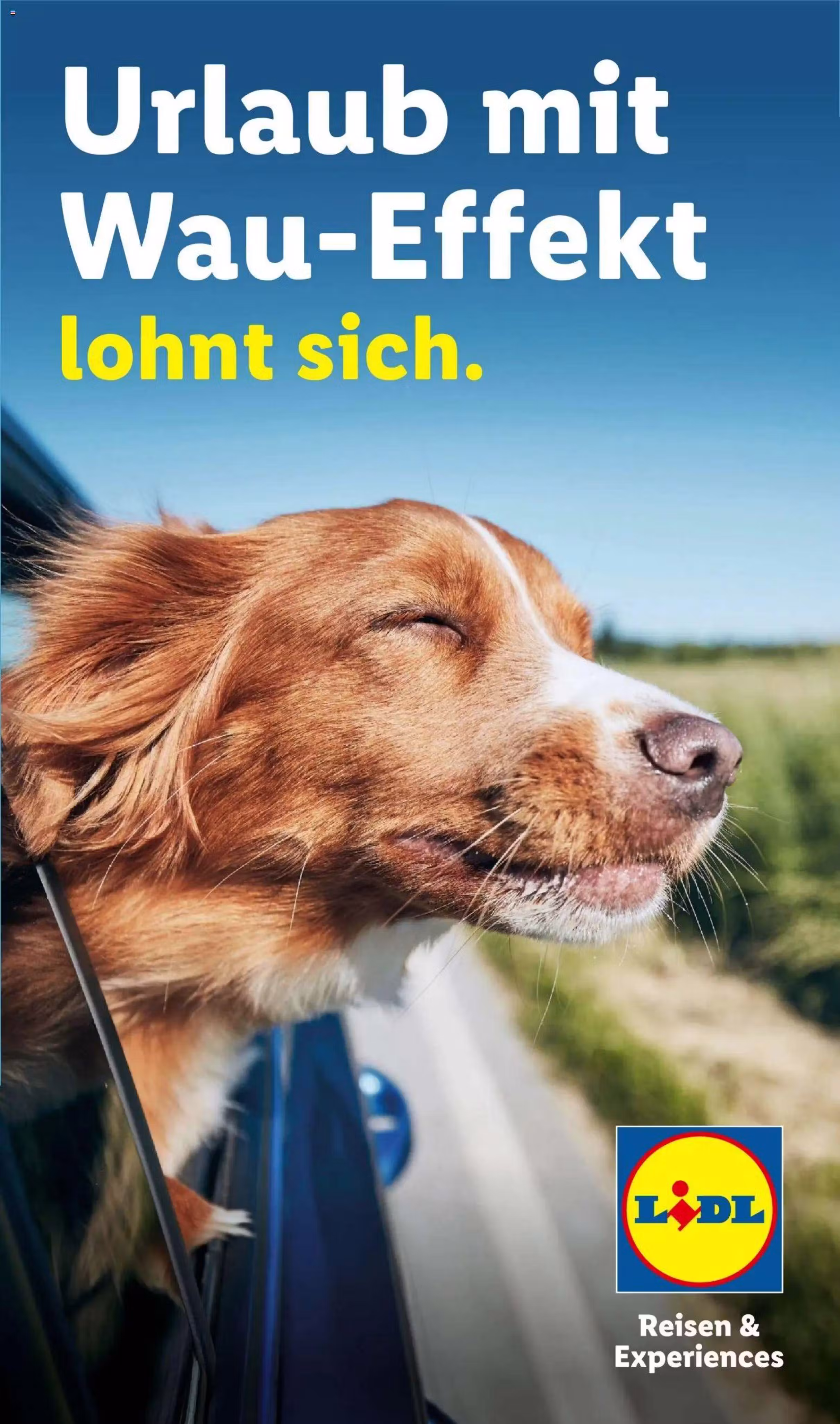 Prospekt-Vorschau: Lidl Angebotsprospekt (Gültig von 2026-07-08 bis 2026-12-31)
